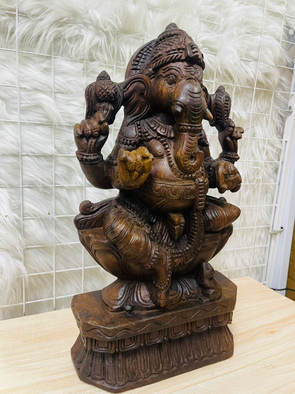 image_E31005DA-B2E1-41FE-BD99-C2E7B181373F_1759415151