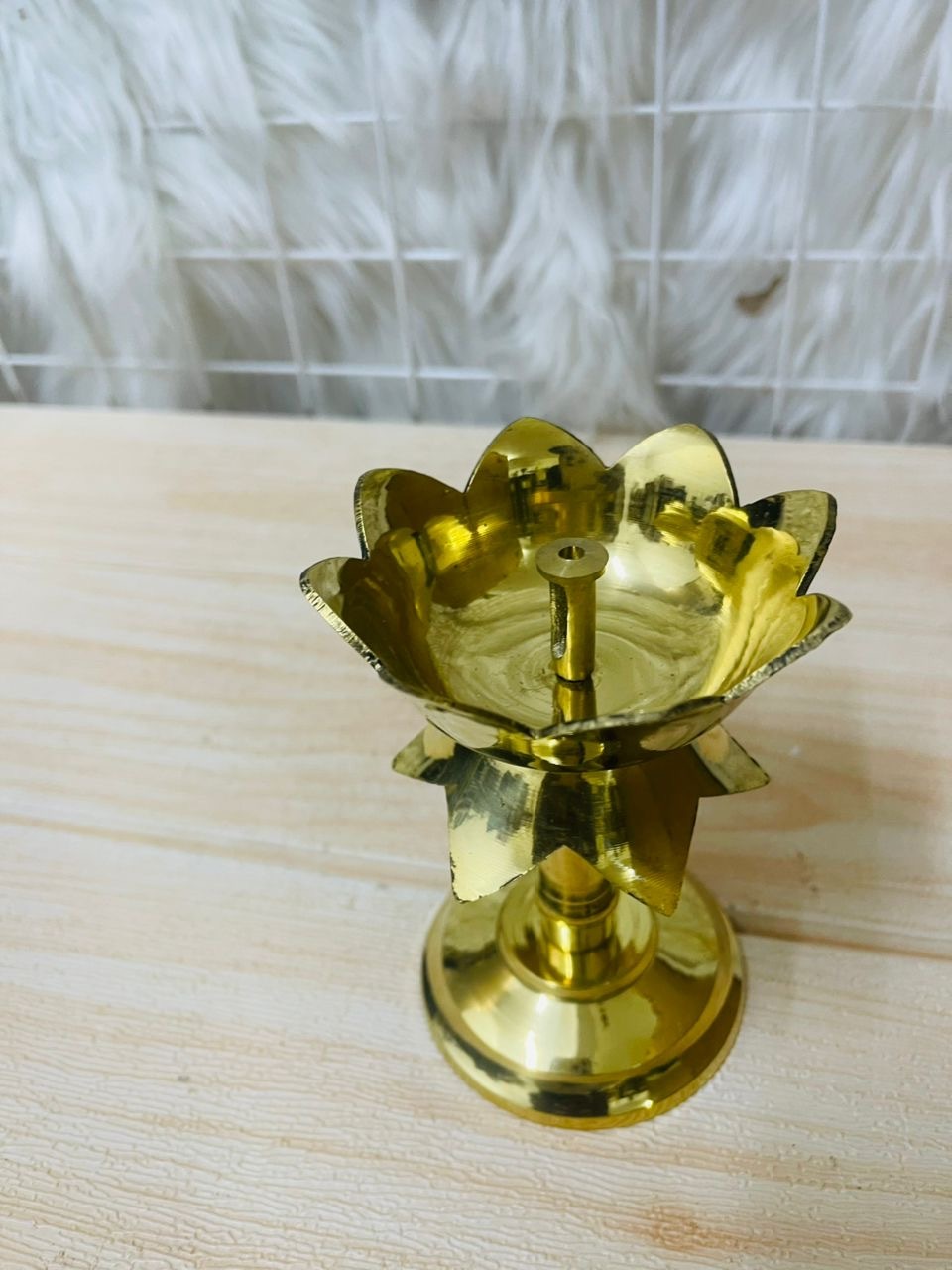 image_E7C22496-A470-4E2D-84B9-301E2FD66477_1761203398