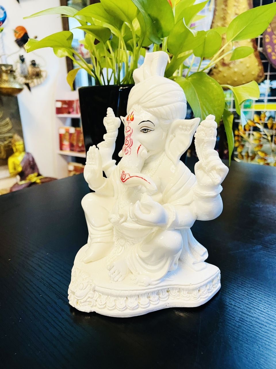 image_1355EDF6-CFB6-4FD1-B7D4-7F4AC9379B68_1765715579