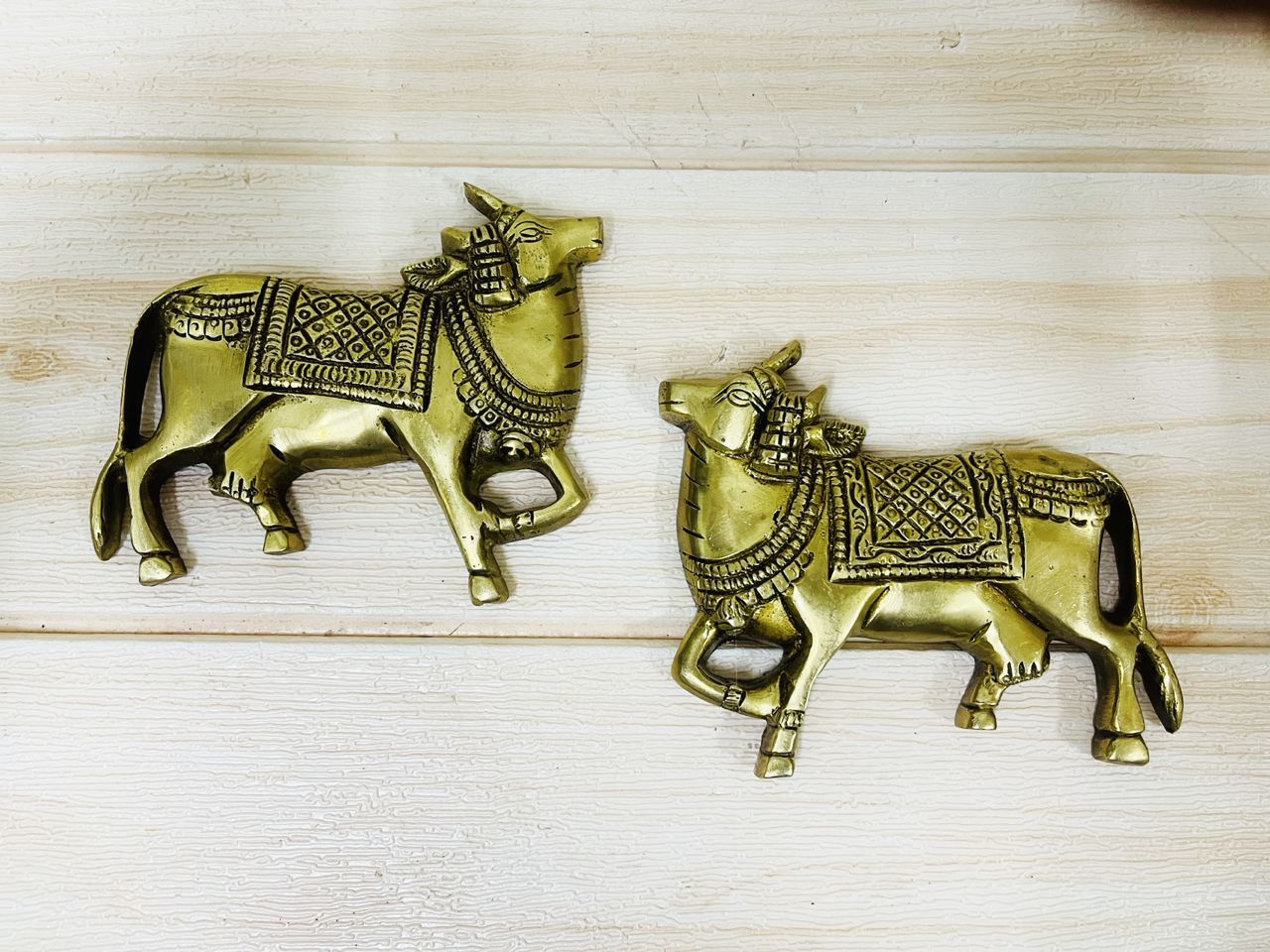 image_8BAB9290-7635-44B9-87A3-0CA5F39DA16B_1769242810