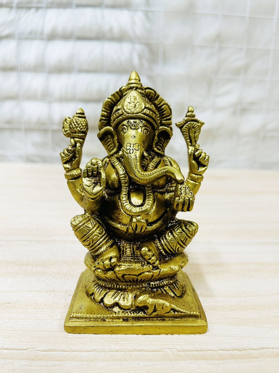 image_CD8733D7-7AD1-463D-9EBF-598E792C90BB_1769315351