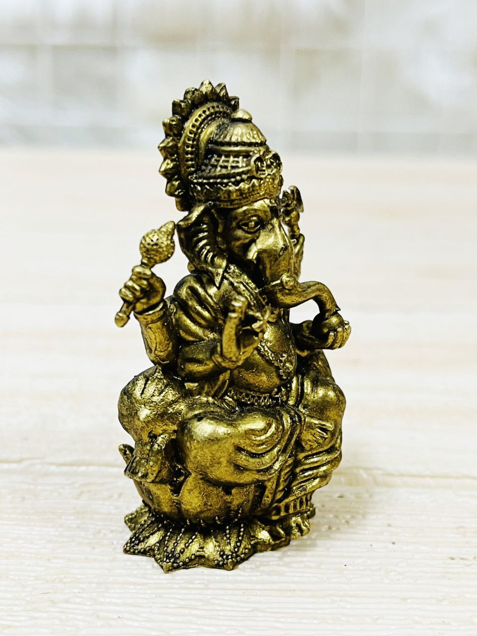 image_ECD486DD-F1FA-4289-9A1C-725164BDC71F_1769319768