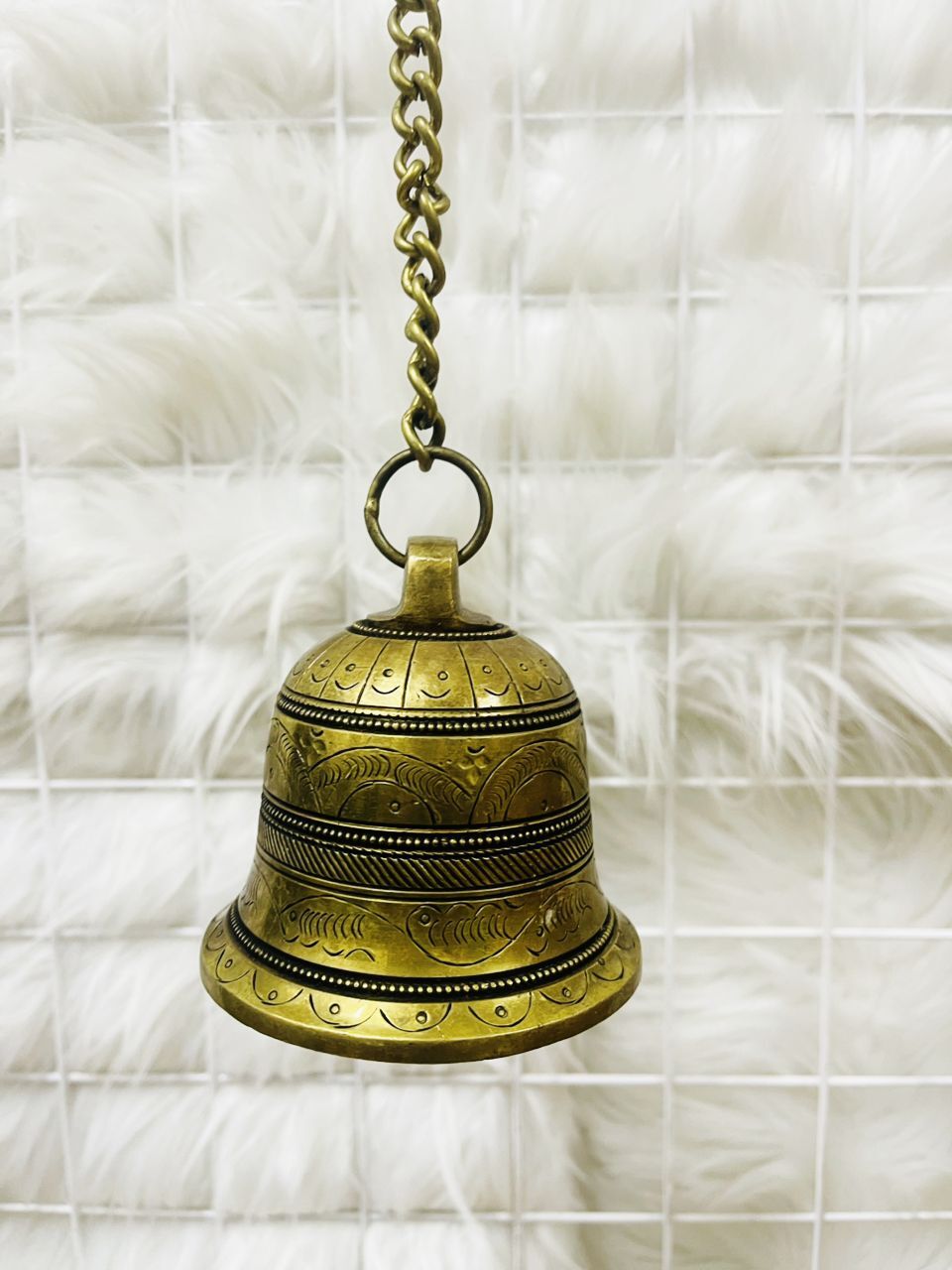 image_2579C533-11A2-47DF-B9D0-0386AAC04070_1769333768