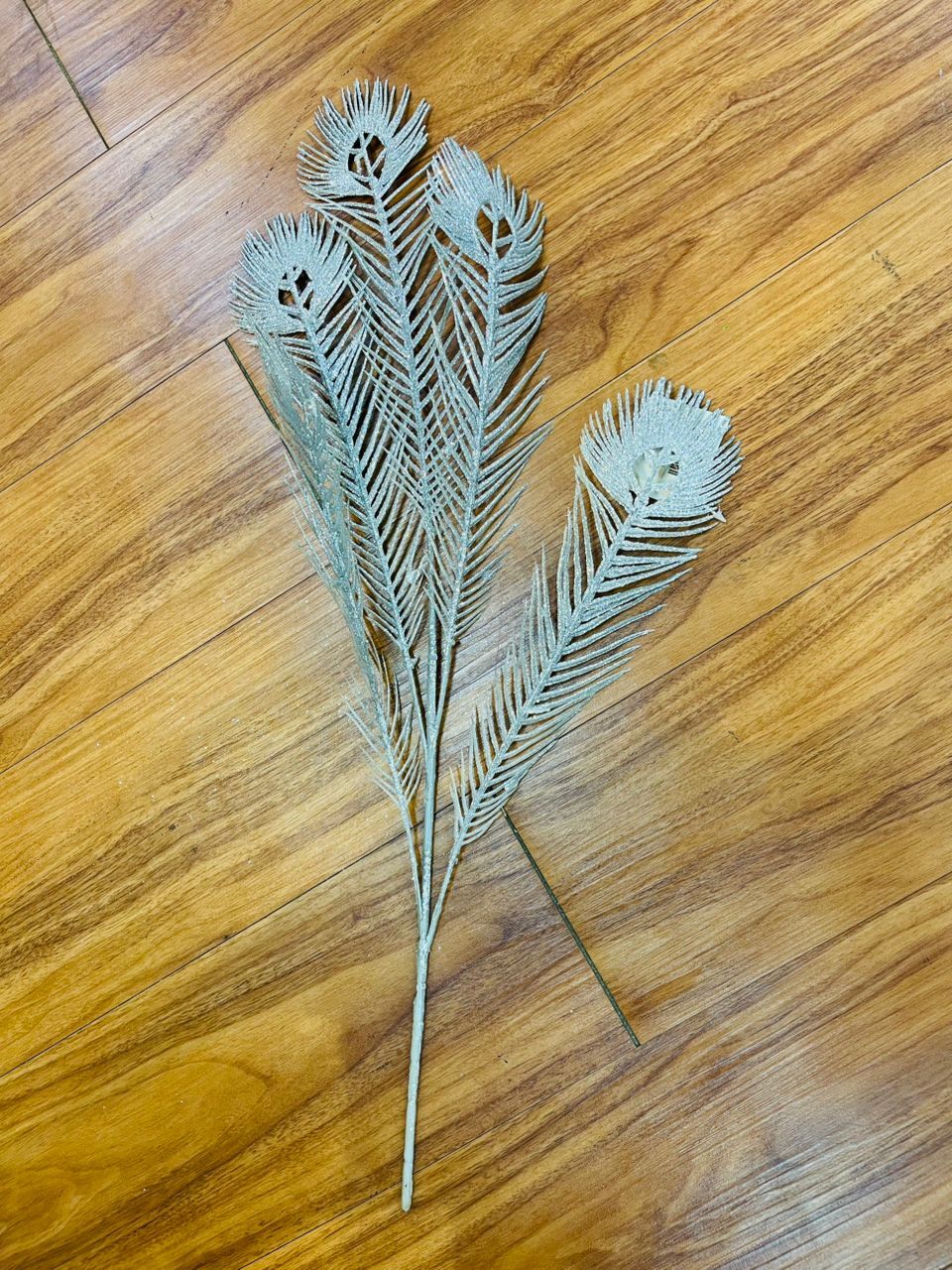 image_0C6C0D81-A615-4D01-8195-AA9C4C42E7BF_1772085938