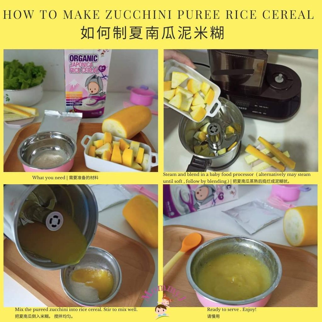 rice cereal and puree 1 (2).jpg