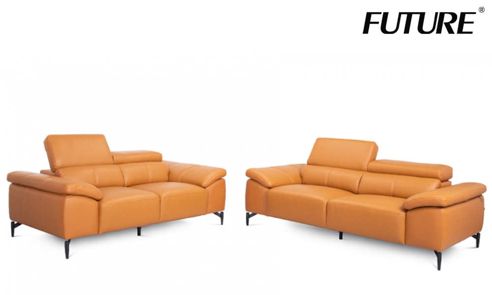 Future Sofa brown leather sofa