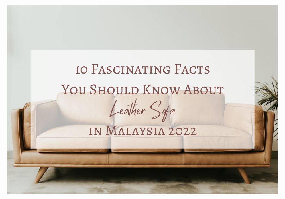 10 Fascinating Facts You Should Know About Leather Sofa in Malaysia 2022