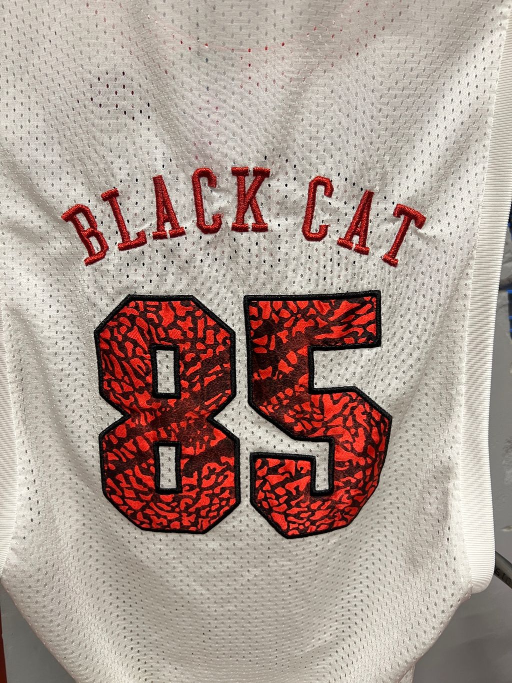 image_6D102200-4A70-448F-B45B-84CAEFE1889D_1774594520