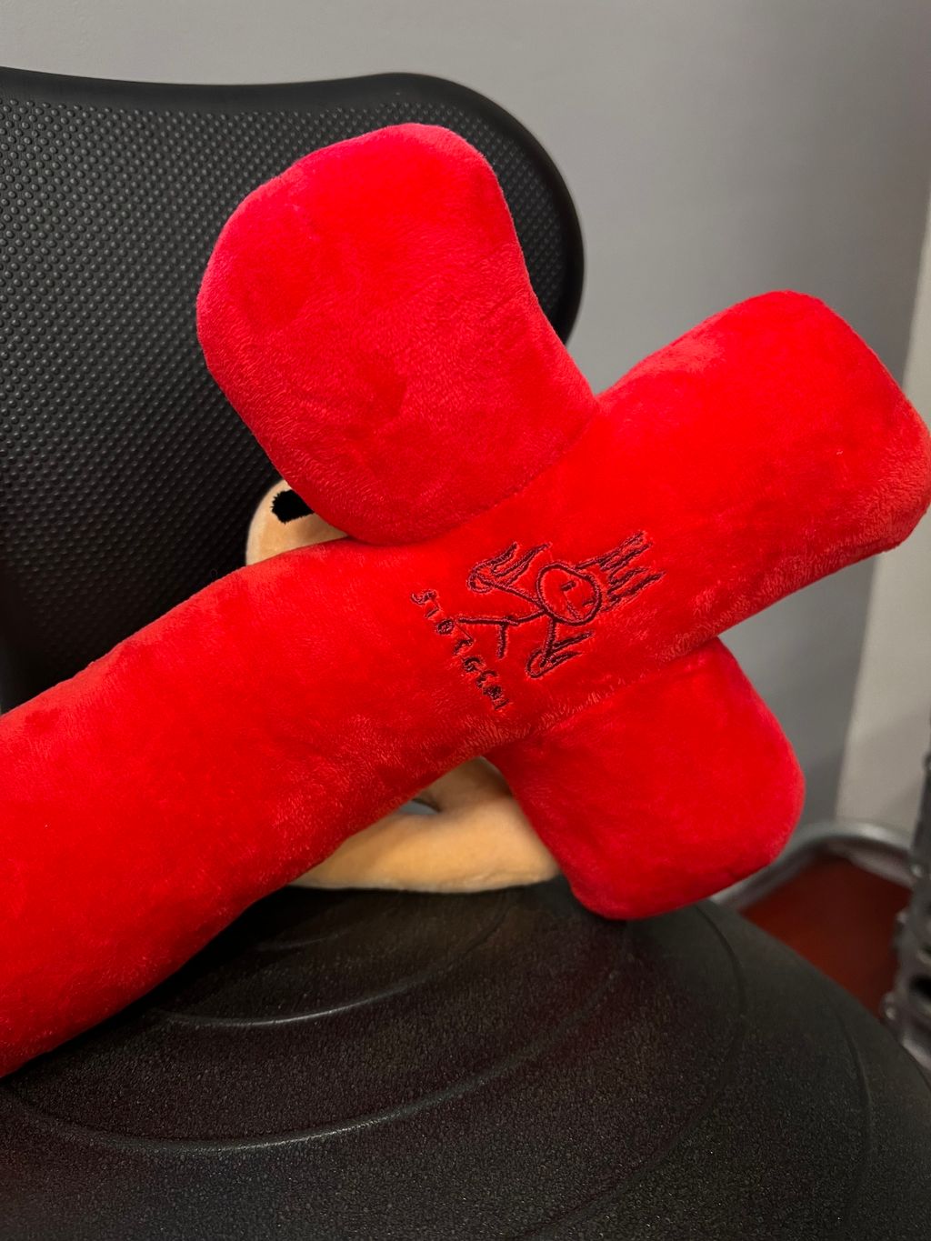 IMG_5498-1711951962517