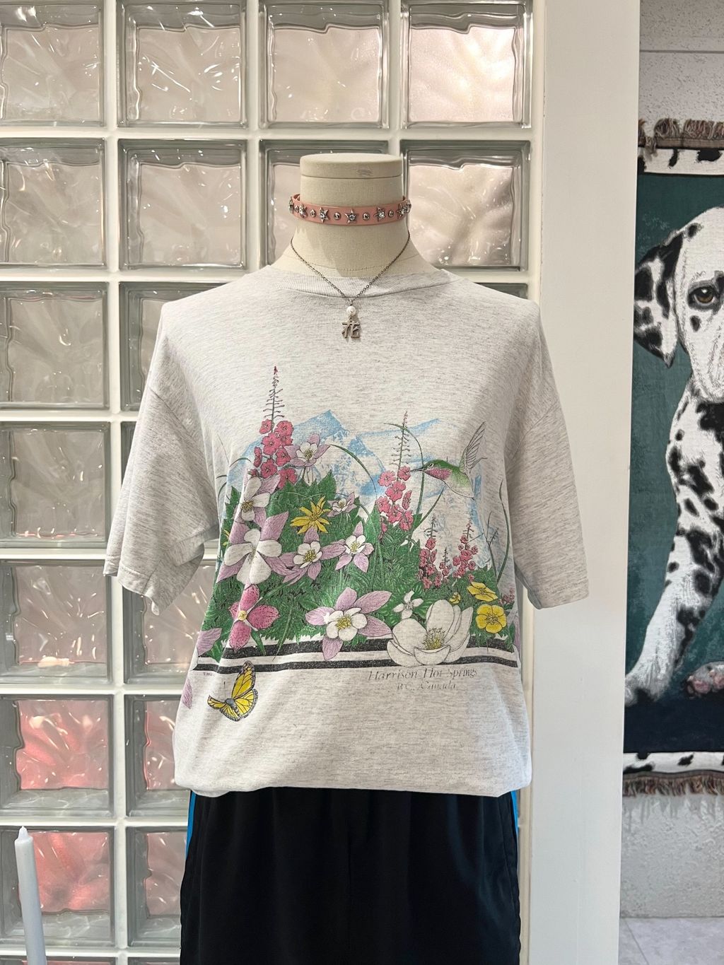 IMG_8651-1719048464557