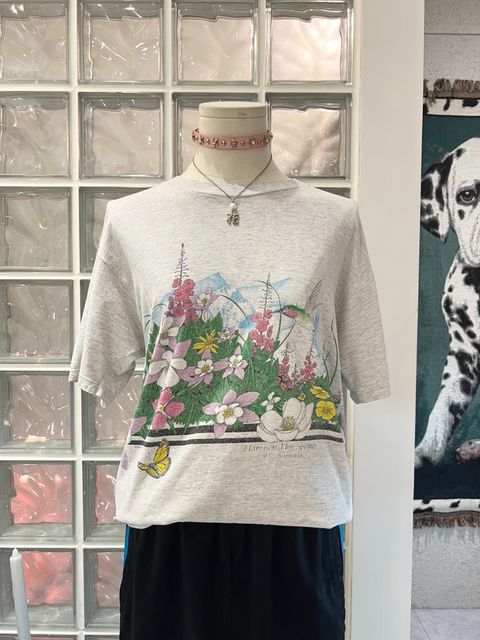 IMG_8651-1719048464557