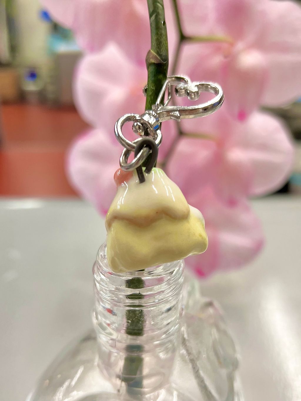 IMG_9247-1719299325981