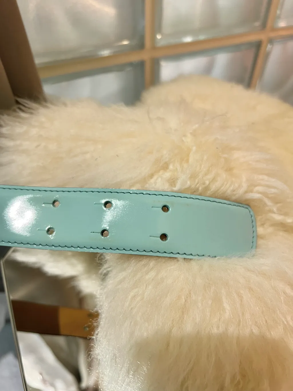 IMG_7024-1722952673456