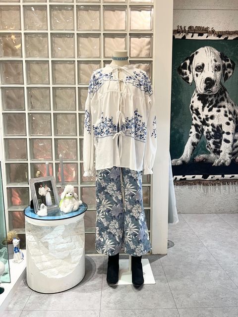 IMG_0023-1724003500699