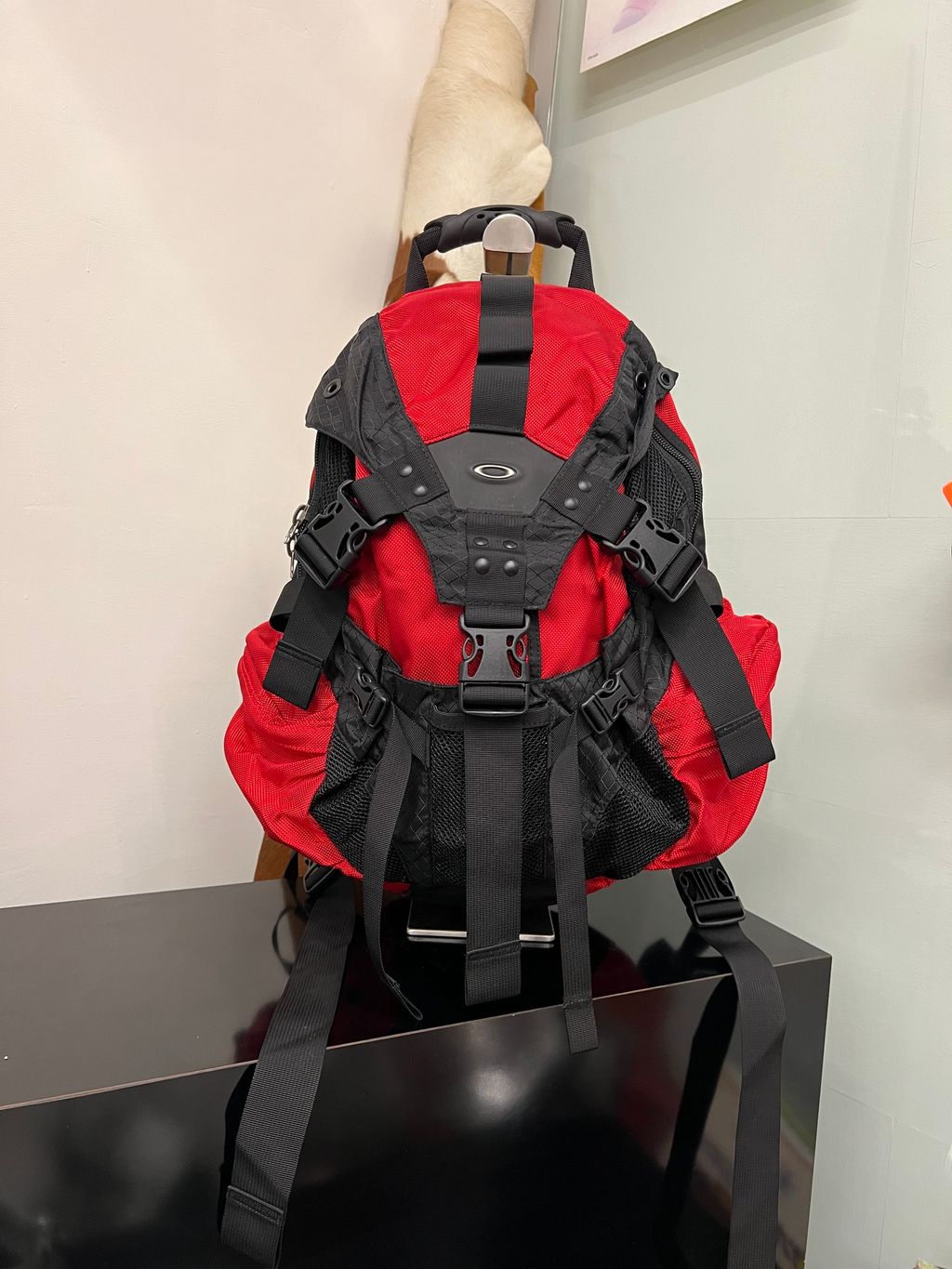 IMG_3208-1725022796251