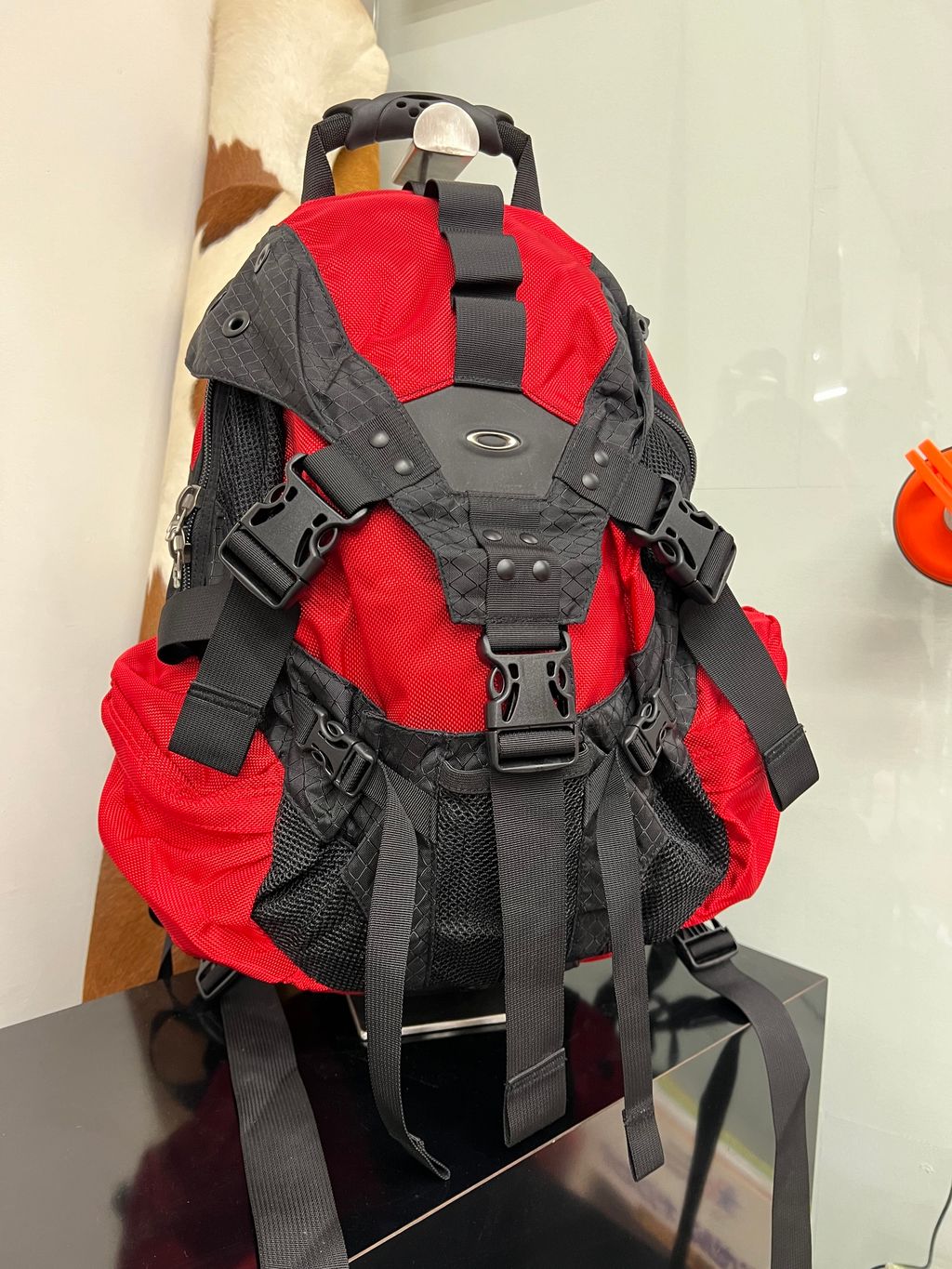 IMG_3210-1725022796640