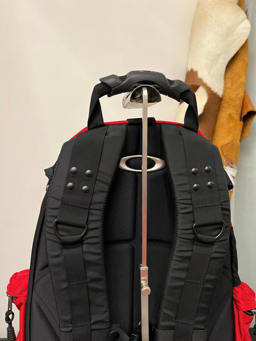 IMG_3216-1725022797527