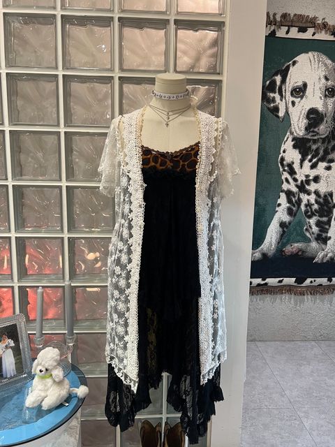 IMG_8484-1727694360175