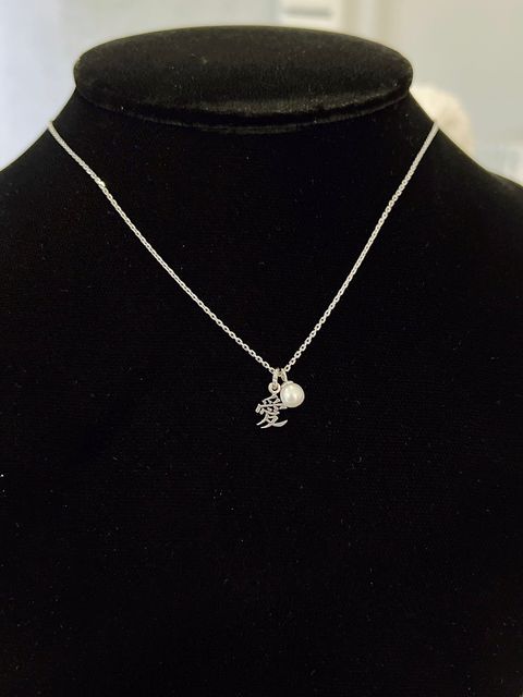 45205516-8A91-4F20-A410-47B1B2D80E0B-1729588309244