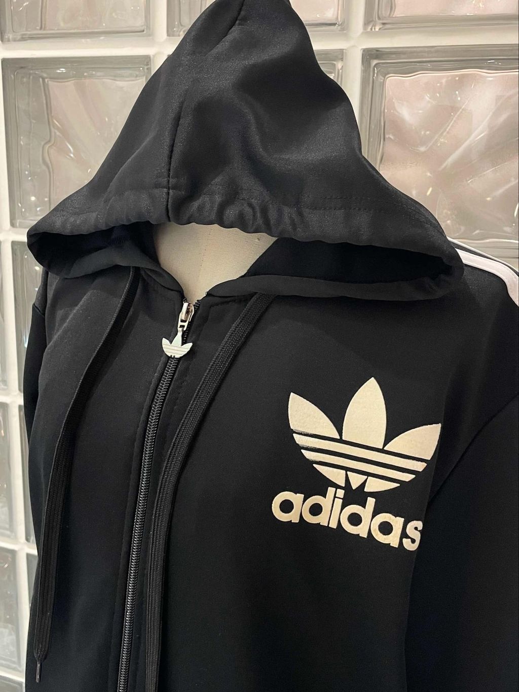 IMG_4826-1731484043118