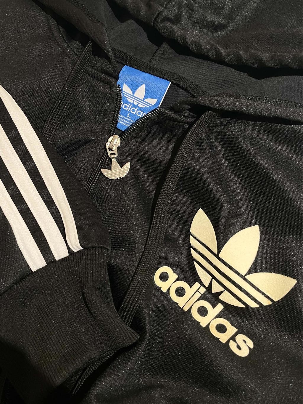 IMG_4828-1731484043124