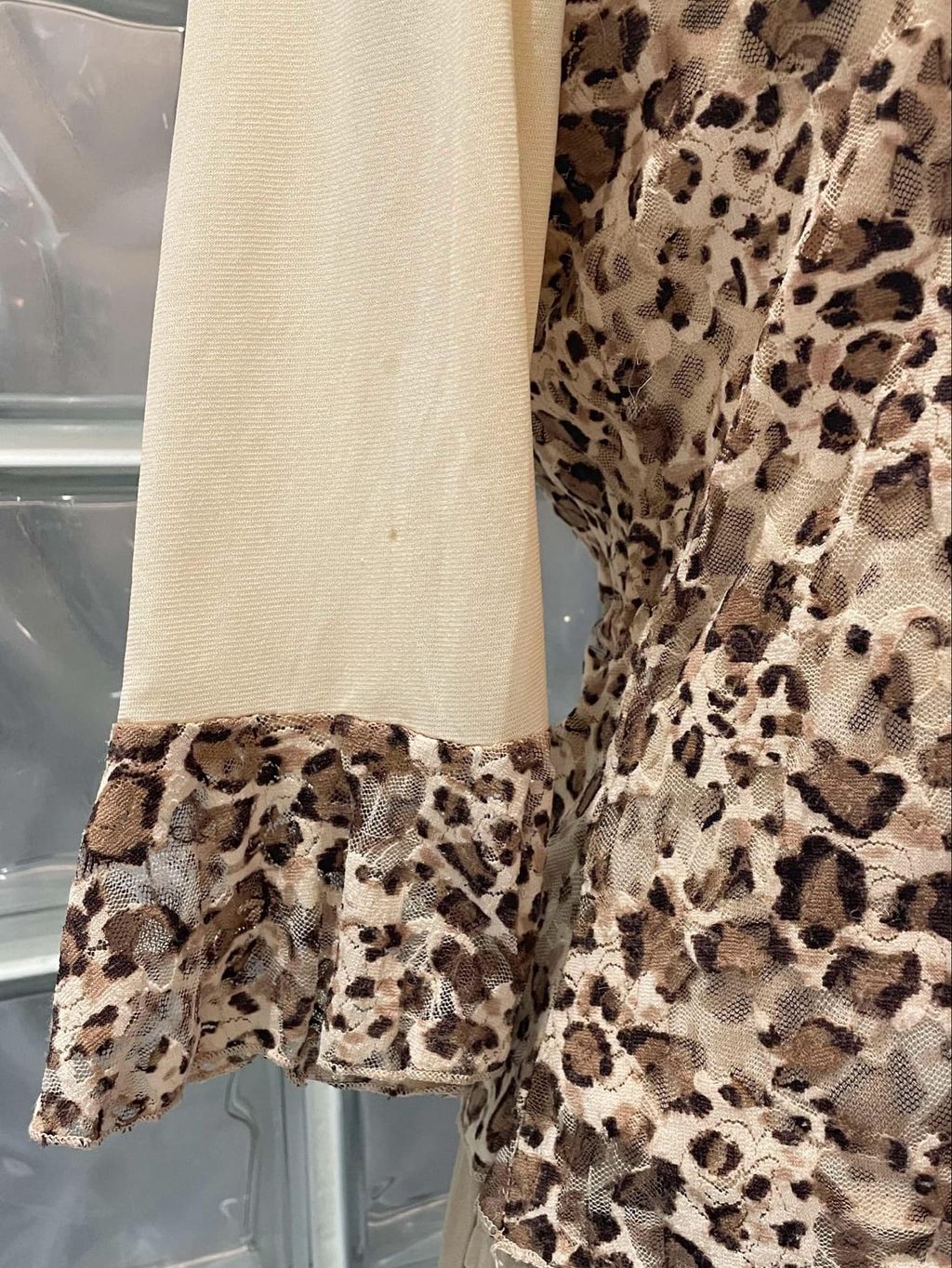 IMG_4872-1731485121871