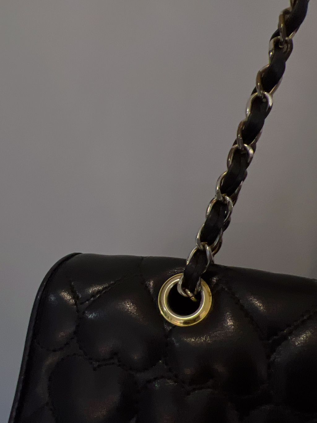 IMG_0246-1719919292661