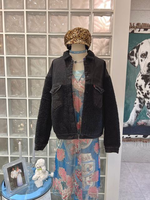 IMG_1050-1733766203570