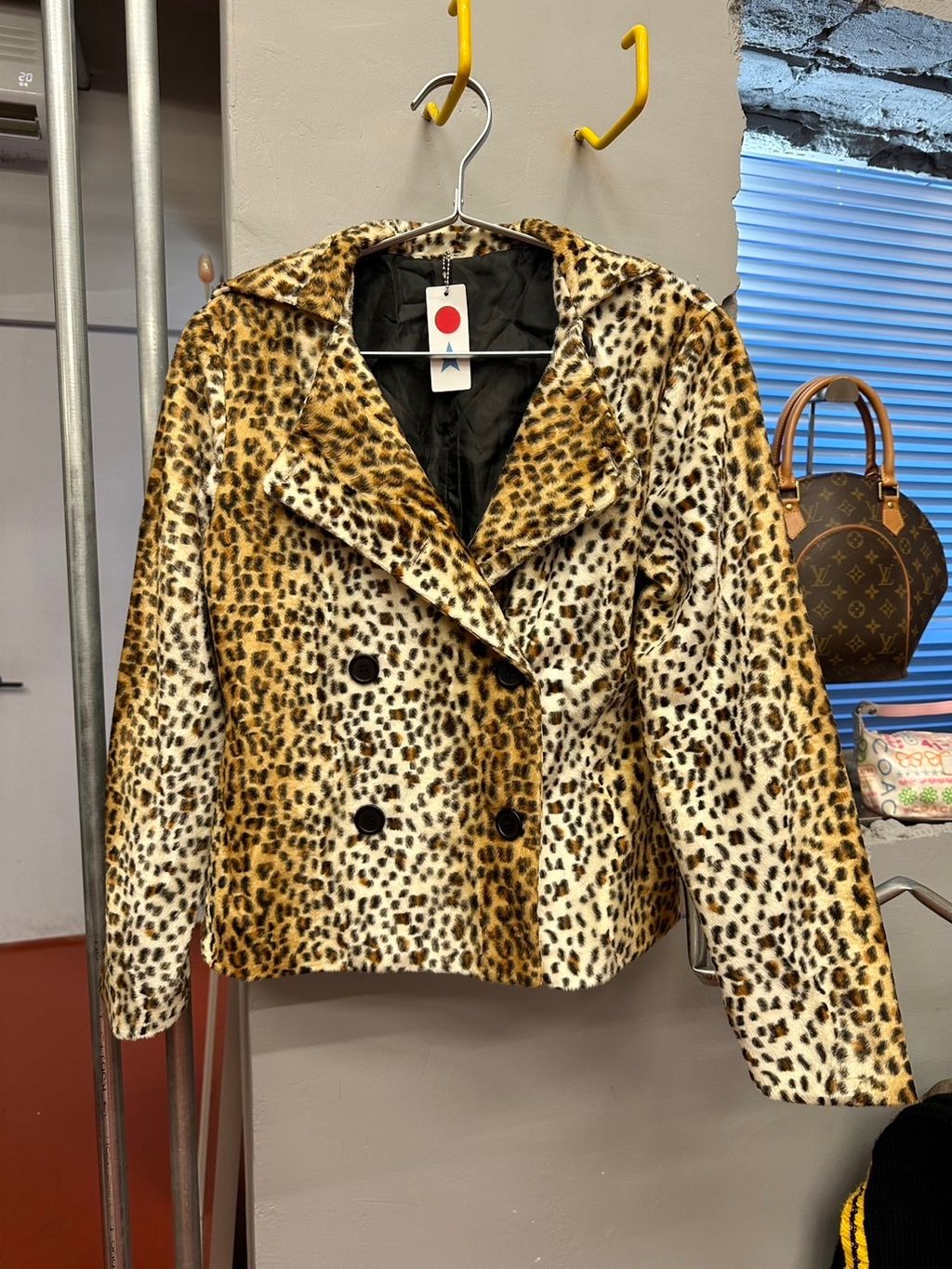 IMG_7164-1736342906201