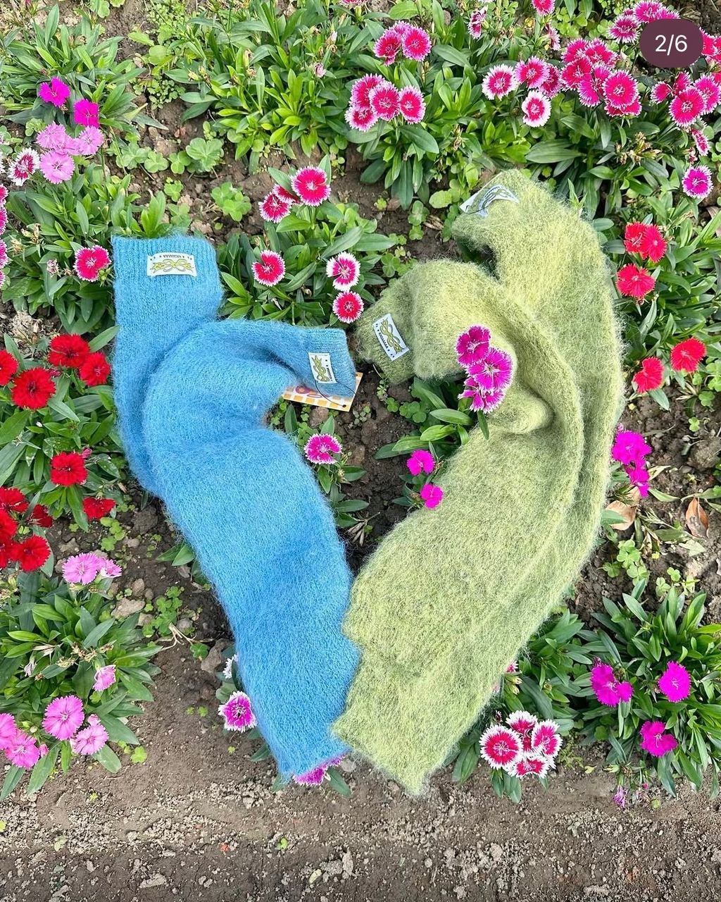 IMG_1214-1737701449085