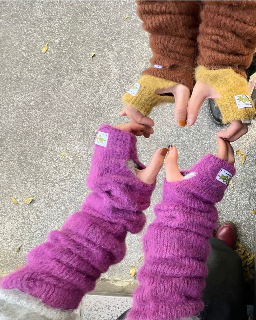 IMG_1218-1737701449093