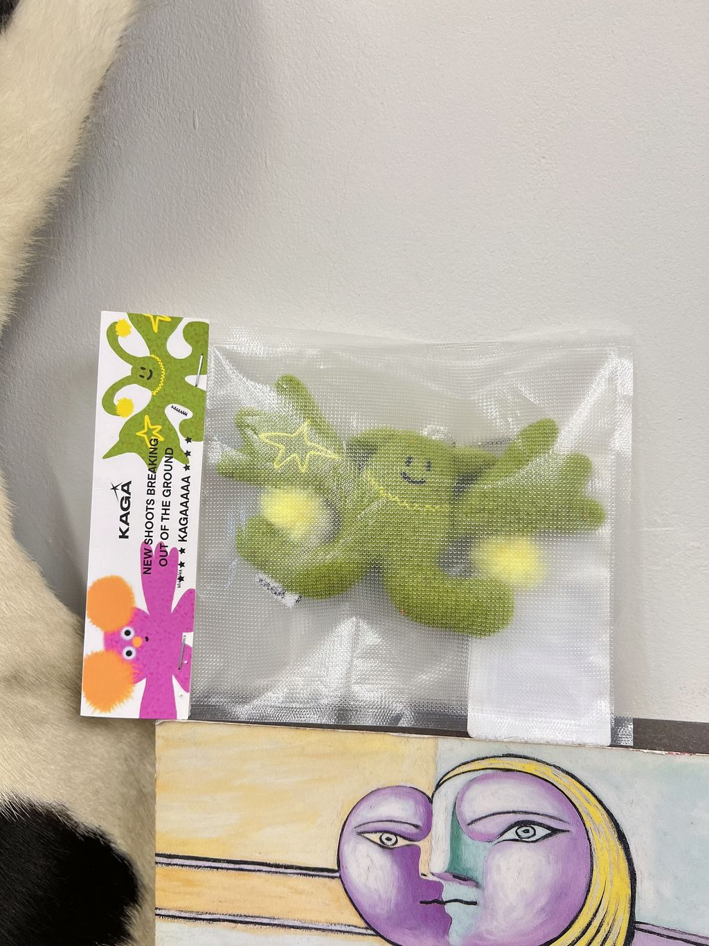 IMG_2767-1739082276424