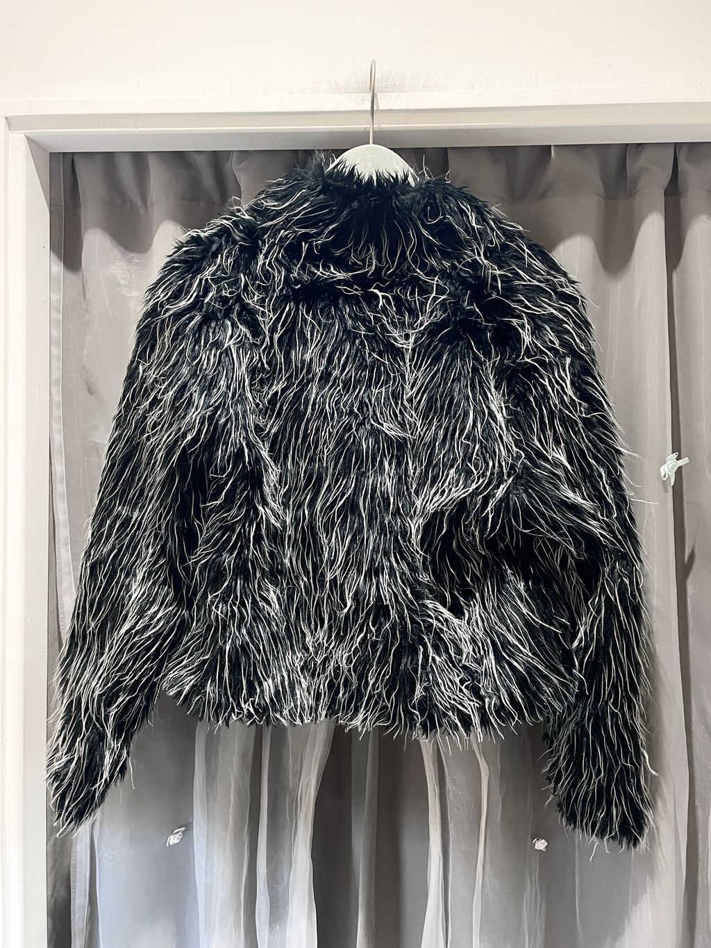 IMG_4472-1739996424874