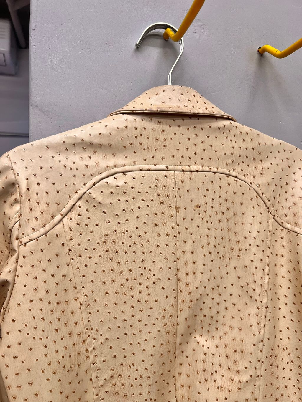 image_8EB9874D-28B6-4CB5-B8E0-77F789AD6217_1743864910