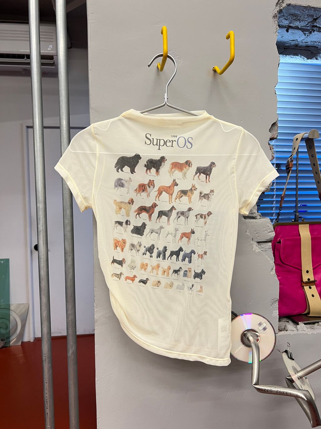 image_DA4CEA7F-CB3A-465F-A78C-CD60945CD191_1749742111