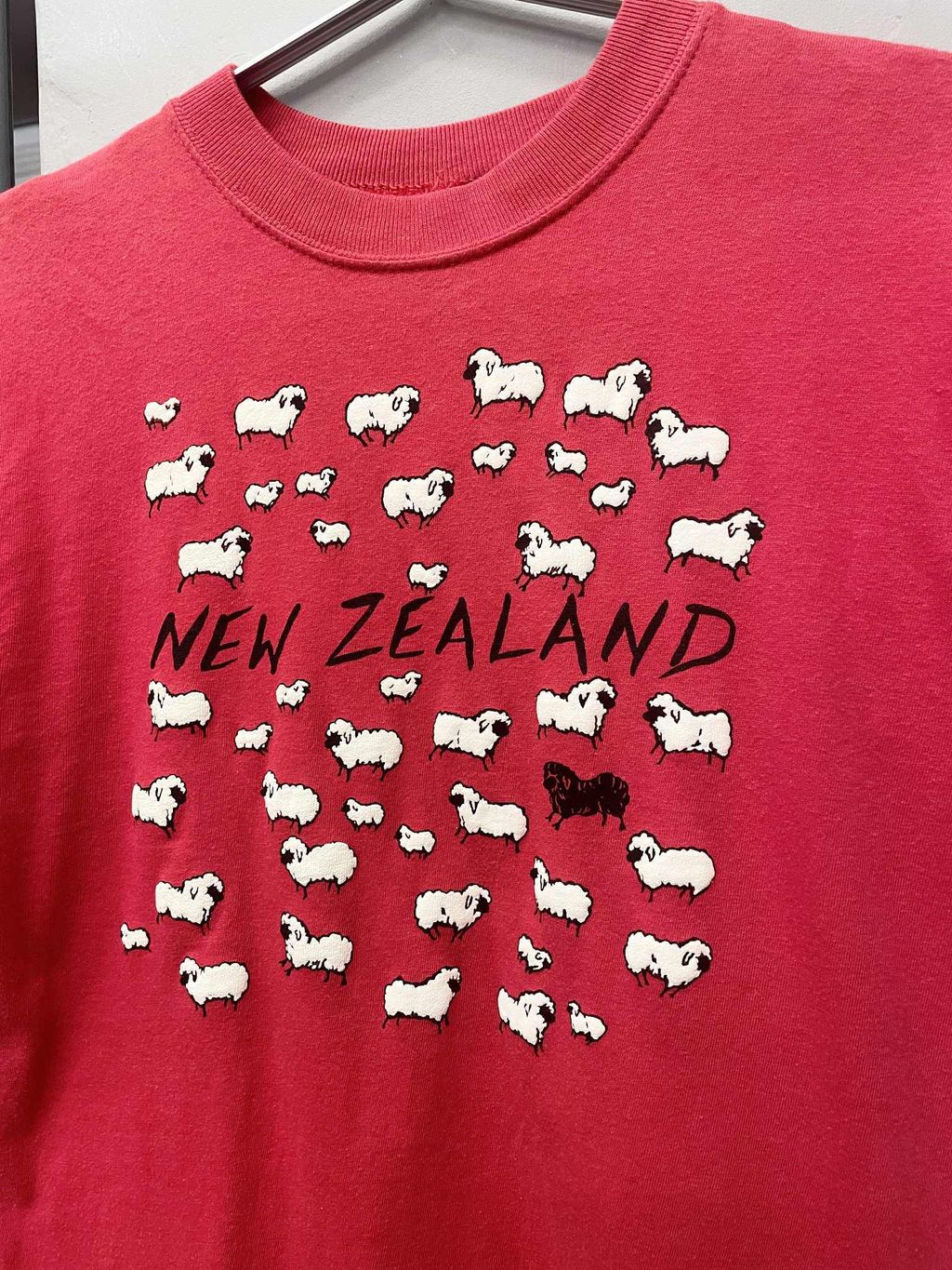 image_5E7B2FE3-A97A-4501-8EC4-17B795DC3743_1751465517