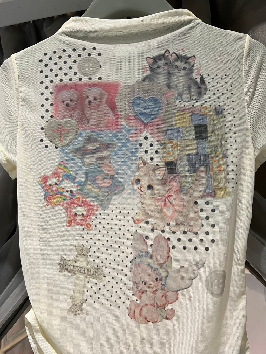 image_C616C832-1B14-4700-9F02-09F535902217_1754475501