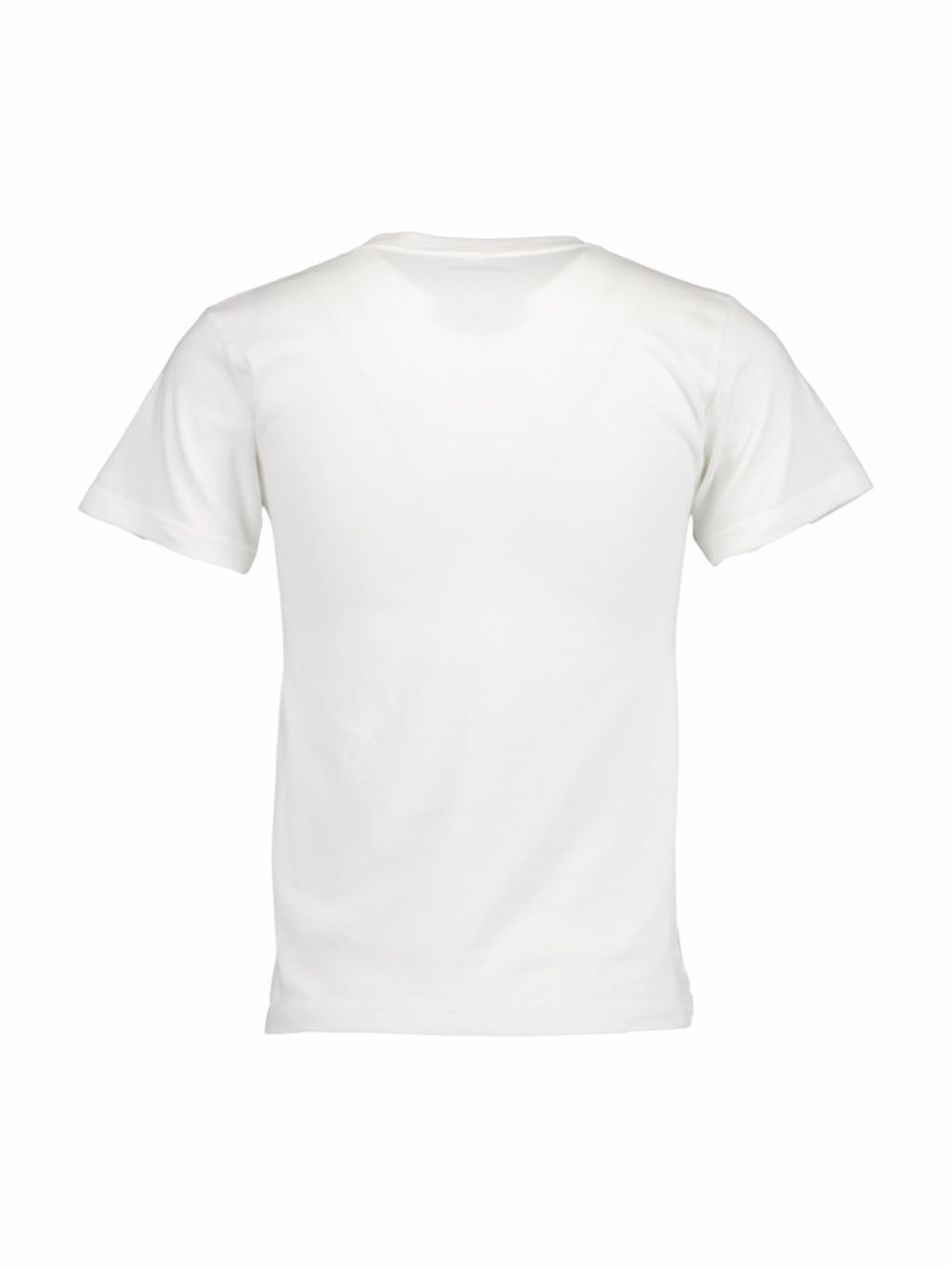 image_9A72B470-B212-4B4A-903A-45815387F79B_1755780352