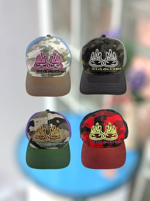 image_C0E6B224-458C-474C-BC26-5FA87CA64335_1756546028