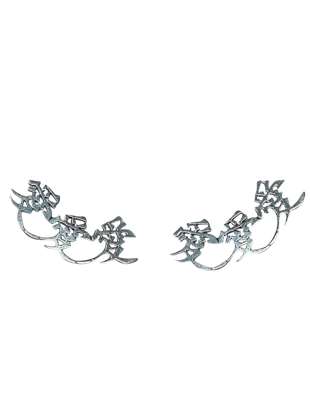 image_D03F2608-E838-46C5-97DA-CCA56A2F8B10_1758703232