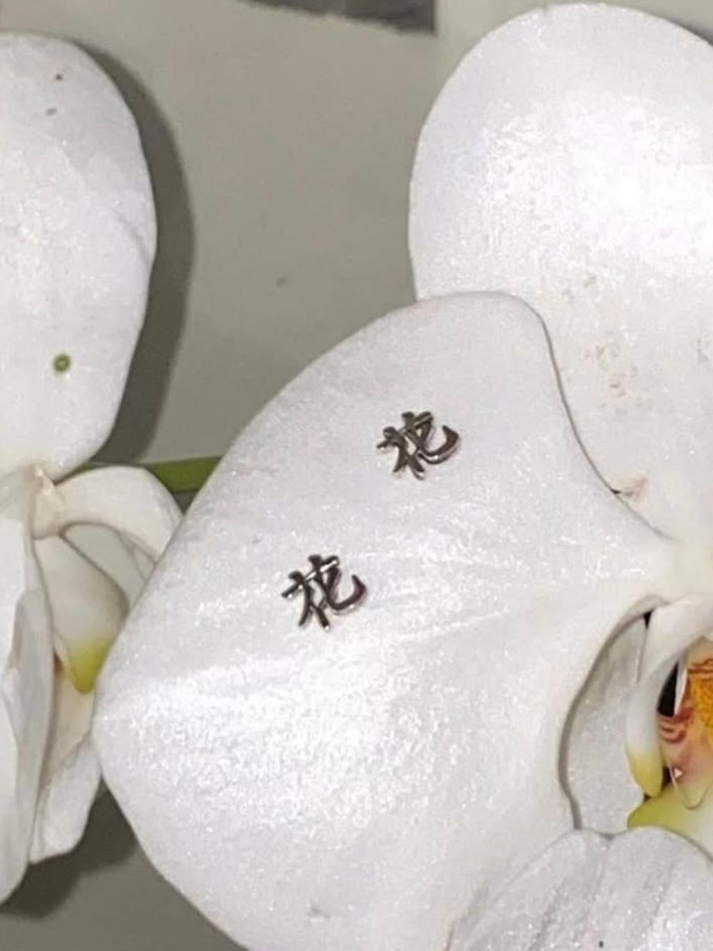 image_45C69627-53B9-4DBD-98F3-DF44EB01CD07_1758655383