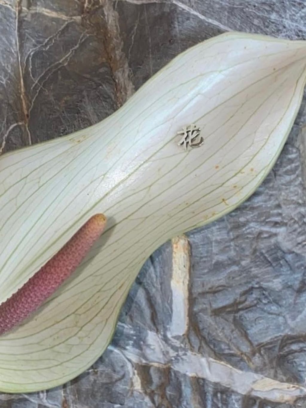 image_E5FBEE03-D21E-4922-8099-A8EE306332AD_1758655383