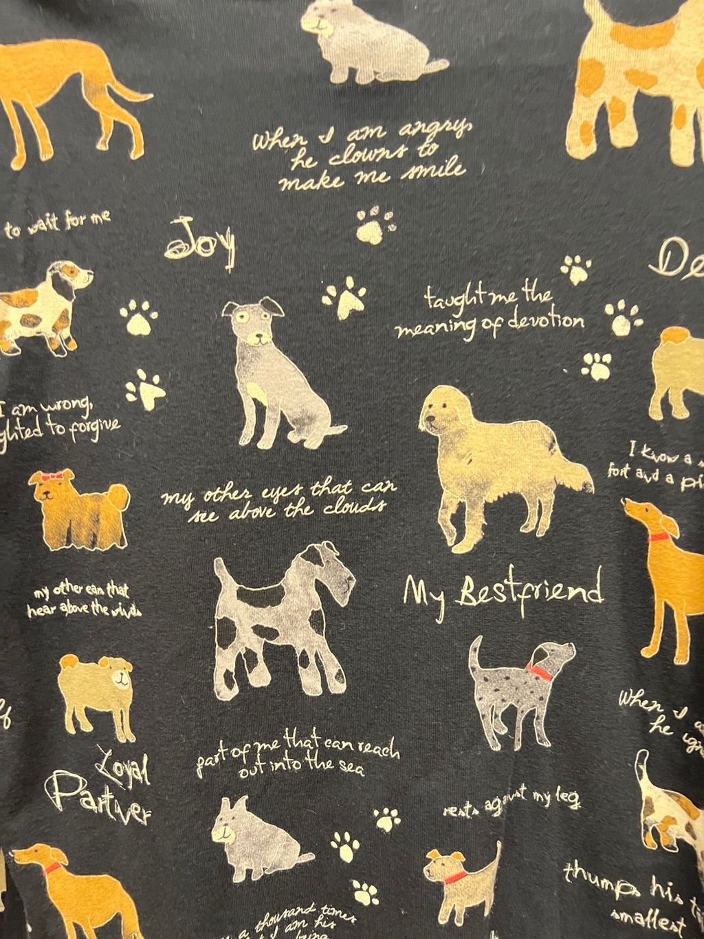 image_DF48B11C-D27E-46ED-BE0D-F0EEDDD4299F_1761889633