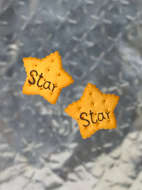 image_037004EE-F4BA-4C29-AC08-A6E727881BBD_1764000270