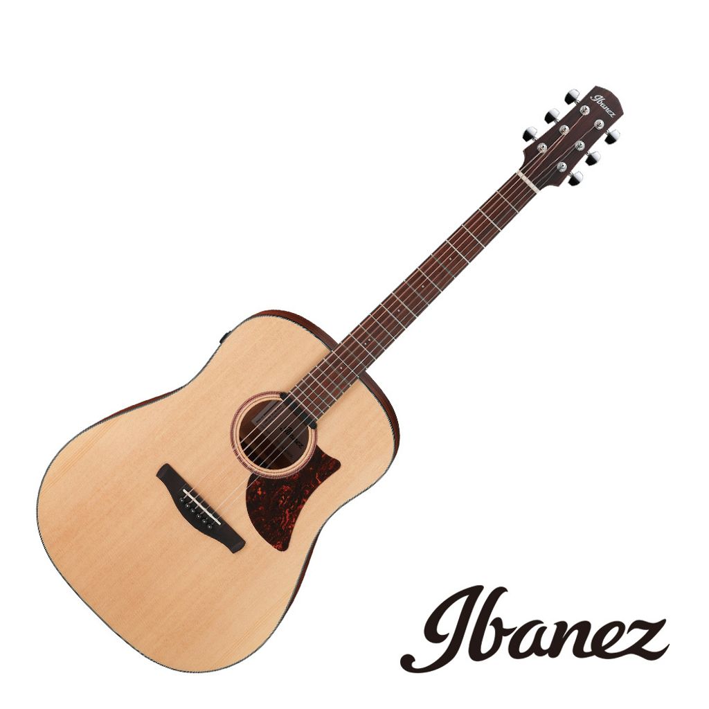 Ibanez AAD100-OPN ST.jpeg