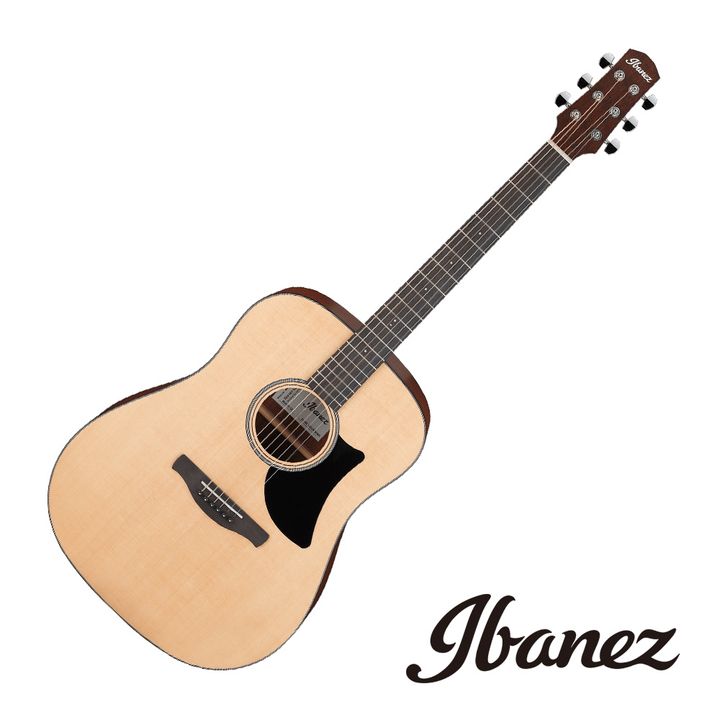 Ibanez AAD50-LG ST.jpeg