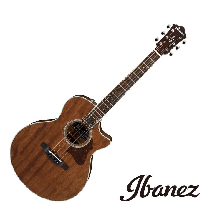 Ibanez AE245JR-OPN ST.jpeg