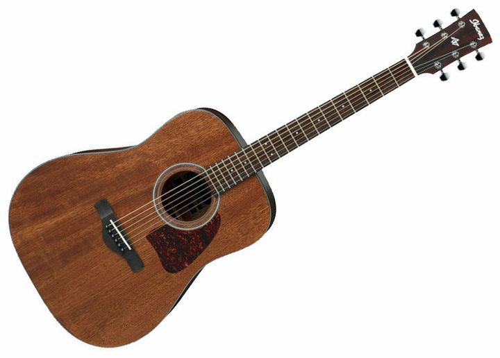 Ibanez AW54JR-OPN ST.jpeg