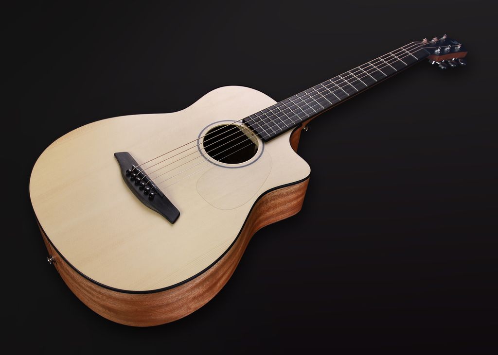 Pioneer EM 12