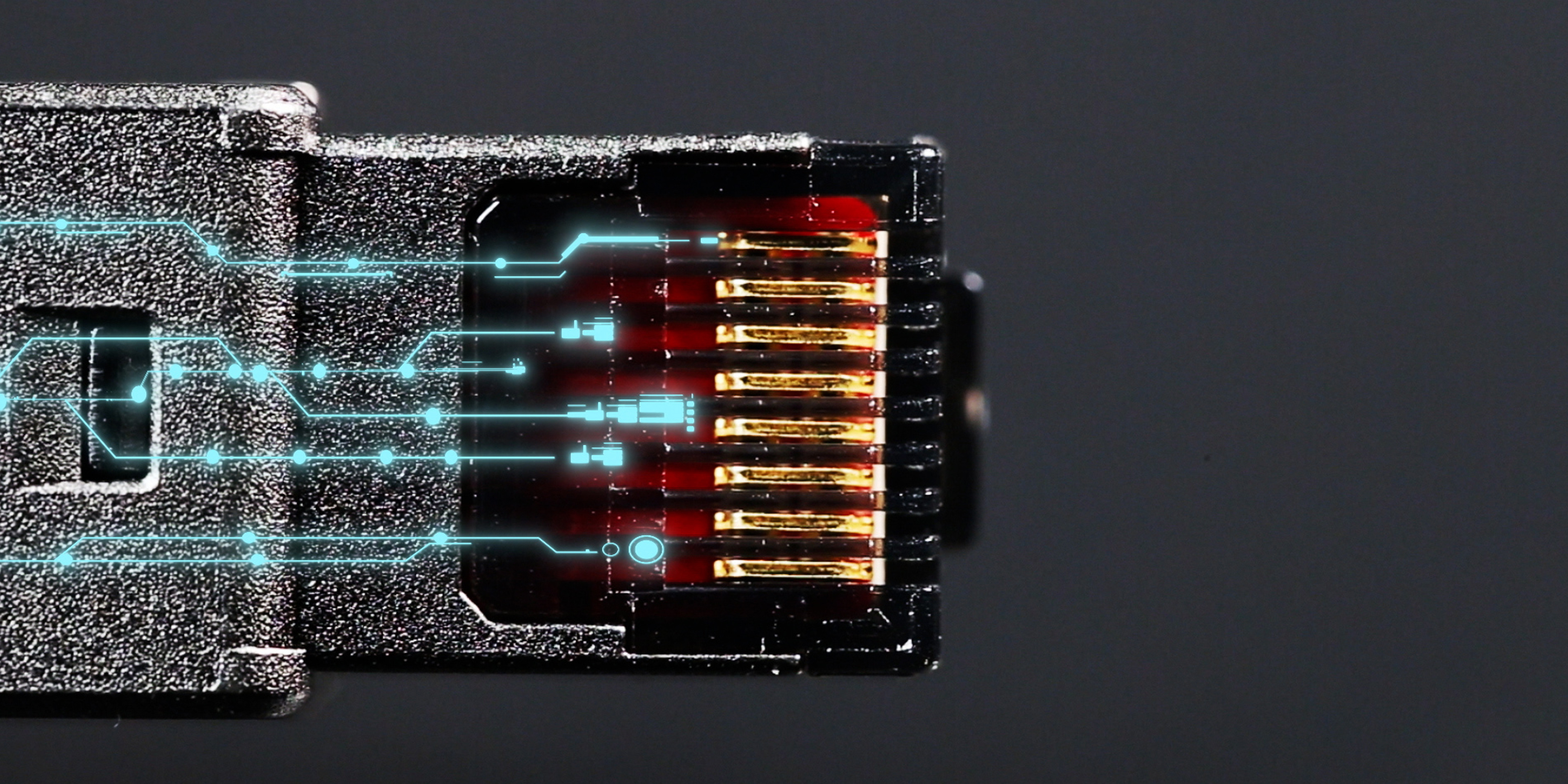 blog cat 8 cable 005